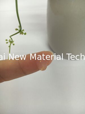 Ochrona twarzy Silikonowy podkład do makijażu Bezbarwny żel pod makijaż z Goldleaf